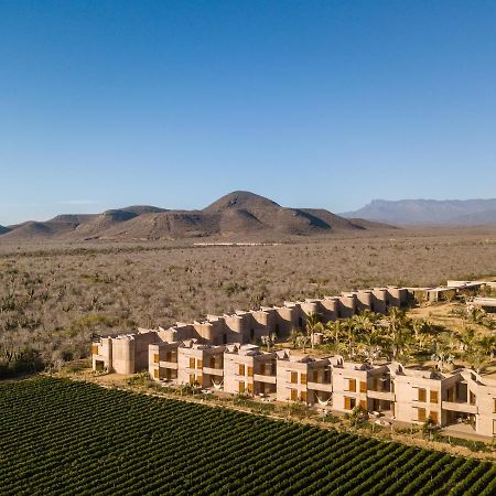 Paradero Todos Santos - Exclusive Experiences Included Eksteriør billede
