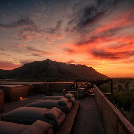 Paradero Todos Santos - Exclusive Experiences Included Eksteriør billede