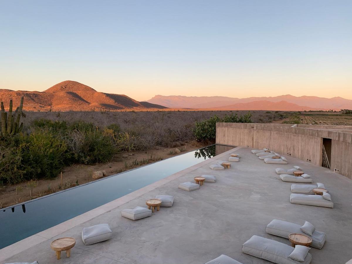 Paradero Todos Santos - Exclusive Experiences Included Eksteriør billede