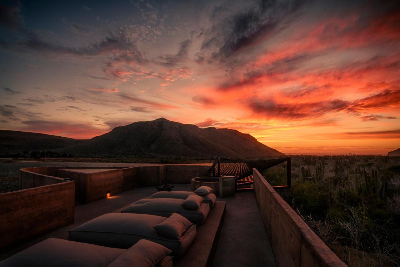 Paradero Todos Santos - Exclusive Experiences Included Eksteriør billede