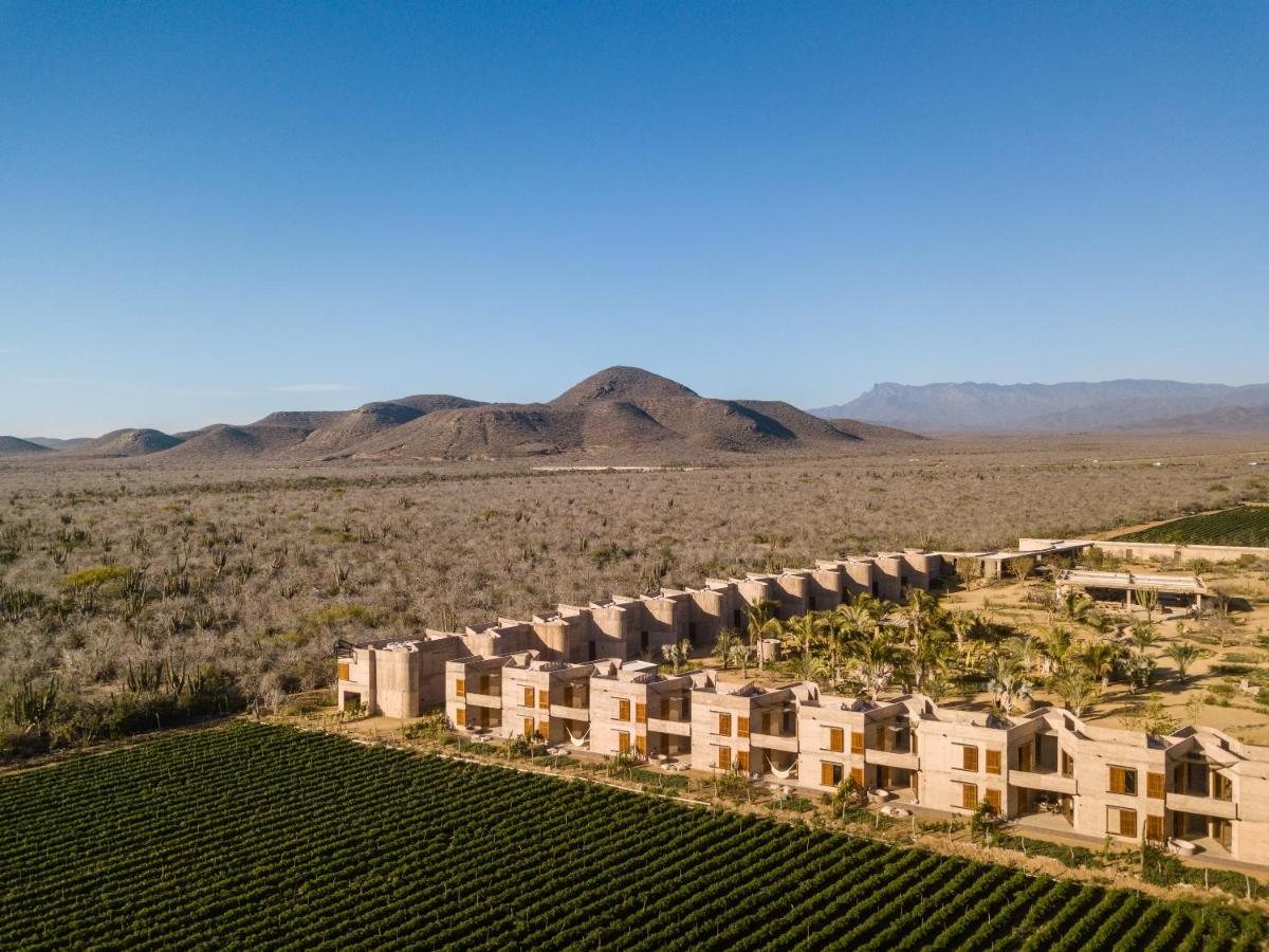Paradero Todos Santos - Exclusive Experiences Included Eksteriør billede