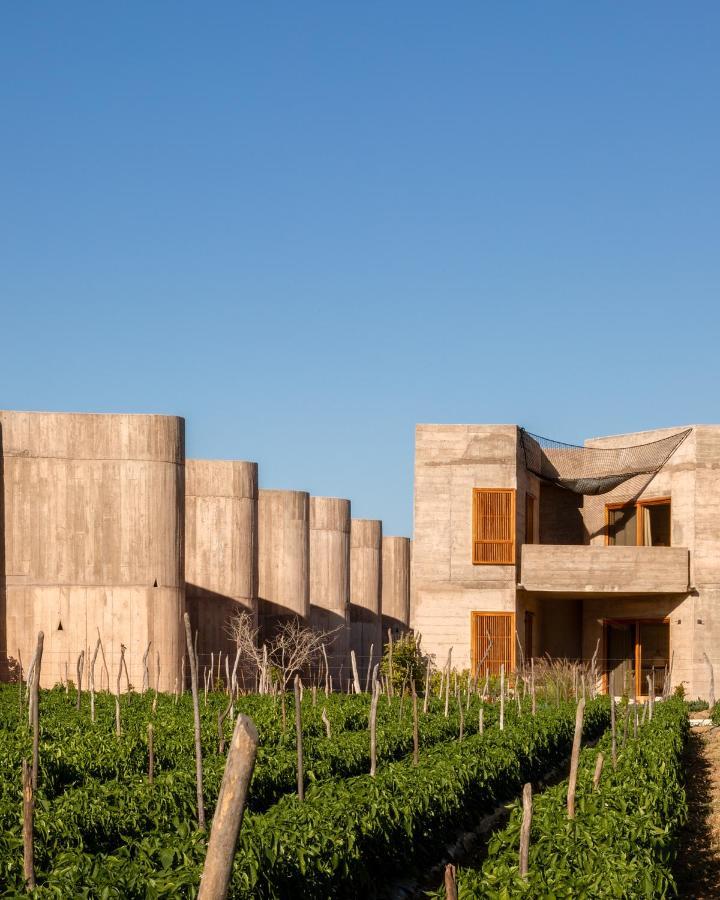 Paradero Todos Santos - Exclusive Experiences Included Eksteriør billede