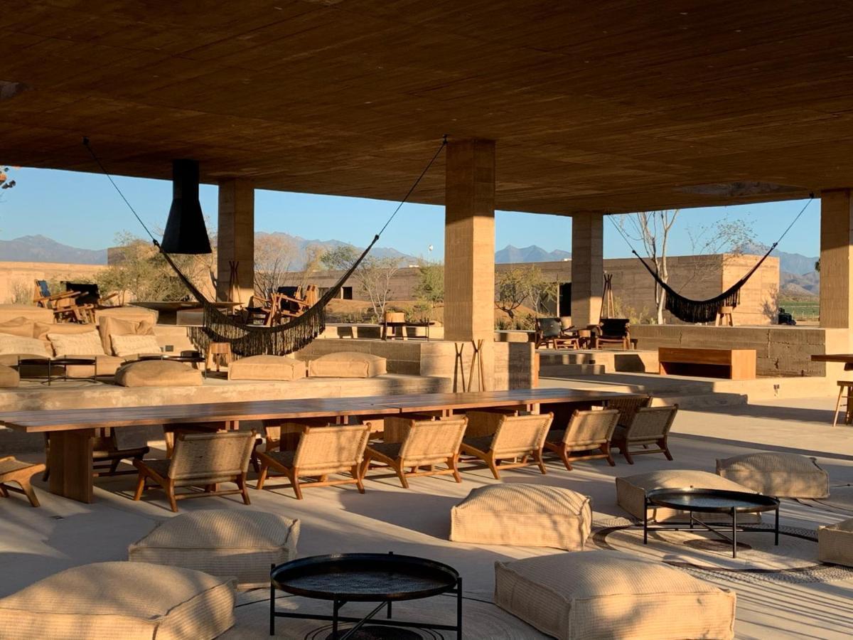 Paradero Todos Santos - Exclusive Experiences Included Eksteriør billede