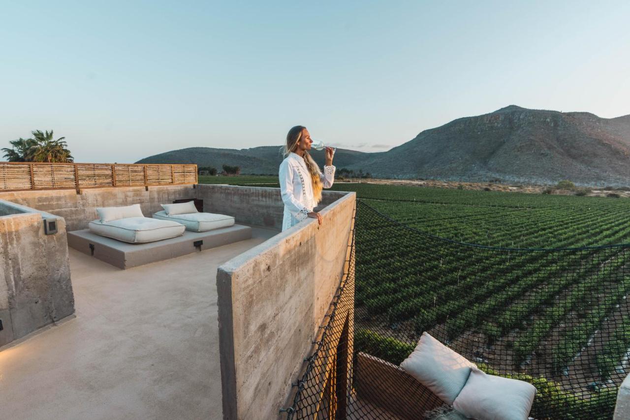 Paradero Todos Santos - Exclusive Experiences Included Eksteriør billede