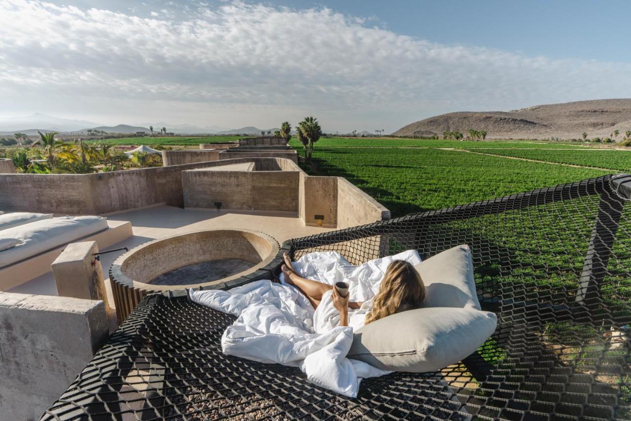 Paradero Todos Santos - Exclusive Experiences Included Eksteriør billede